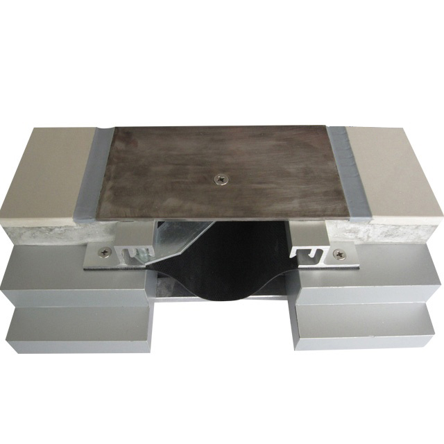 Metal Floor Expansion Joint Cover 1