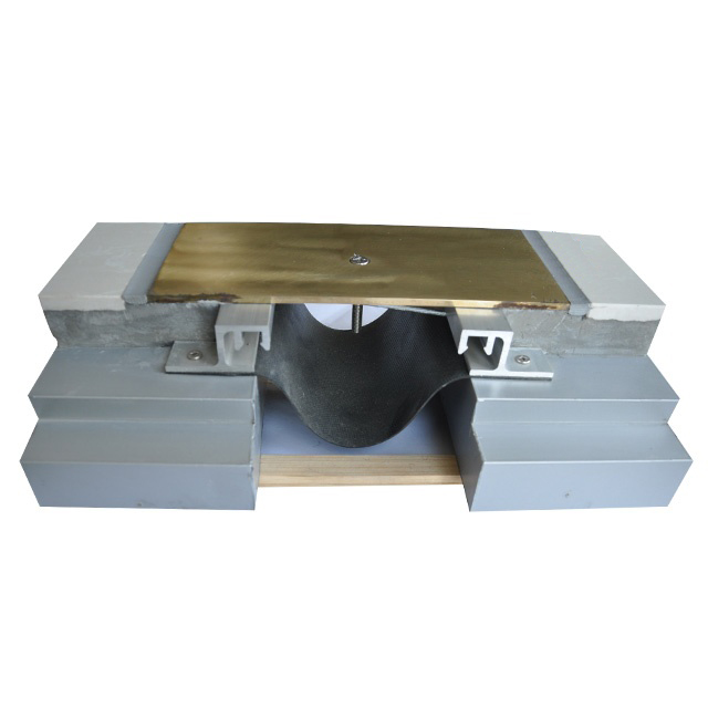 Metal Floor Expansion Joint Cover 2