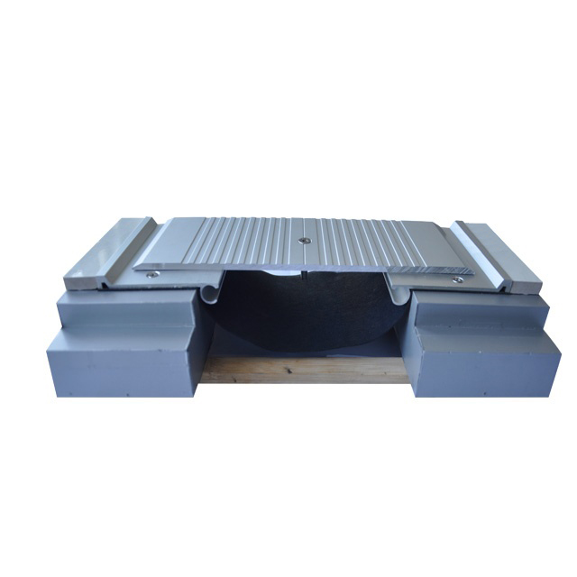 Flush Mounted Floor Expansion Joint Cover 2